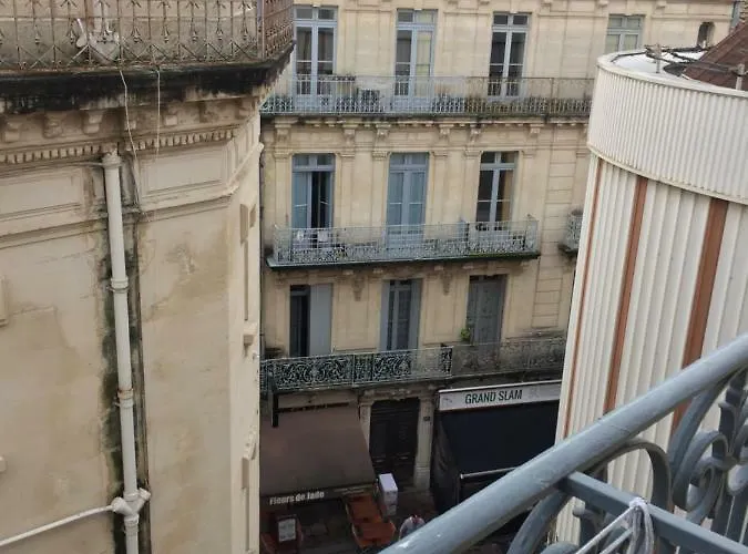 Charmant appartement hyper centre Comédie